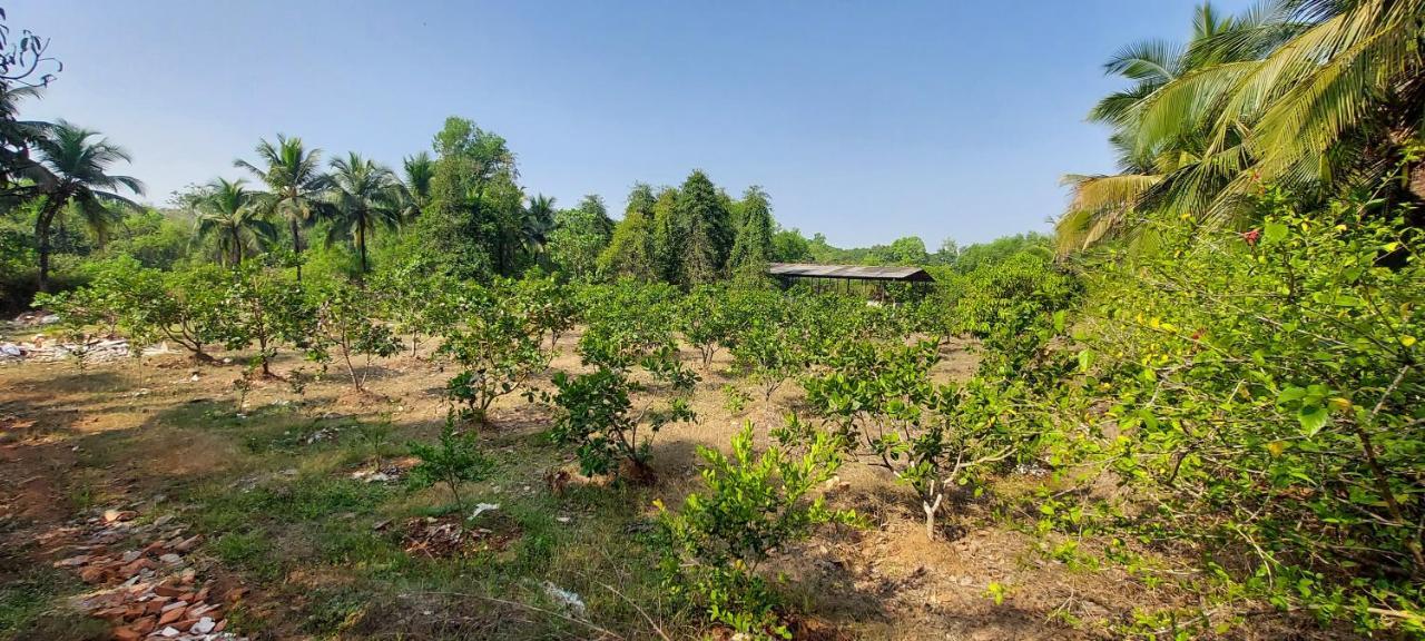 Willa Sneha Farm House Kudal  Zewnętrze zdjęcie